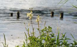 010 - nah am wasser gebaut